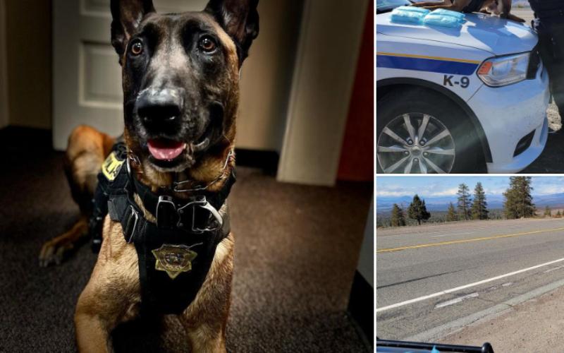 Recent arrests in Mt. Shasta