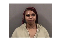 Woman Arrested on Weapons Charges after Gunfire Erupts Outside a Party