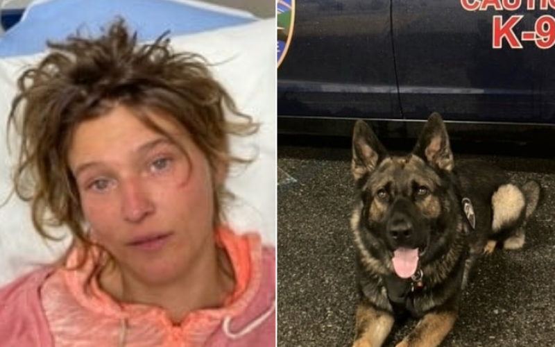 Violent Felon Apprehended by Police K-9 After Fleeing