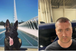 K-9 Chase Stops Felony Drunk Driver