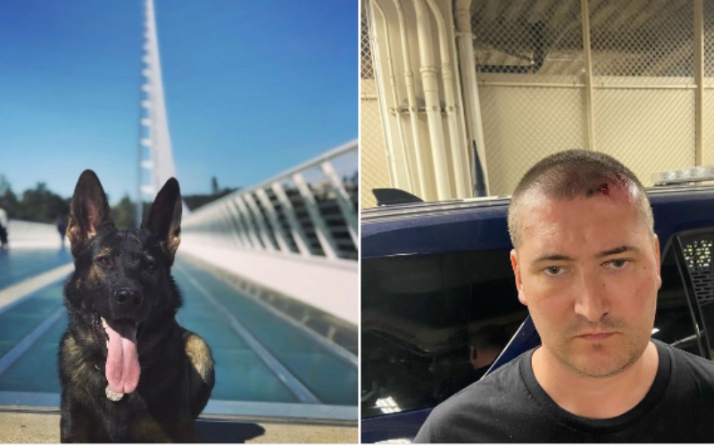 K-9 Chase Stops Felony Drunk Driver