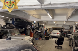 Criminal syndicate linked to felony crimes