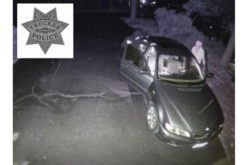 Two juveniles sought for alleged thefts from unlocked vehicles