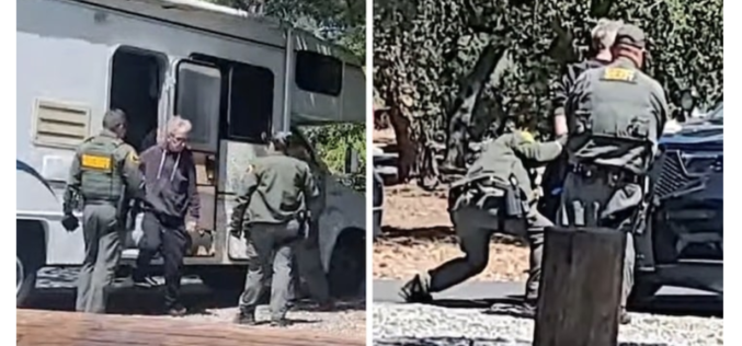 TMZ: Andy Dick arrested on livestream for felony sexual battery