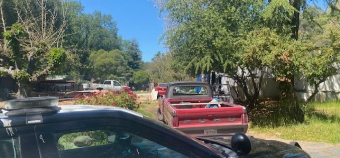 Man with warrant accused of erratically driving stolen pickup