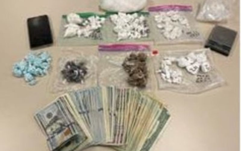 300,000 Fatal Doses Seized in Drug Bust