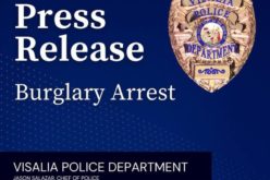 Burglar nabbed with stolen property
