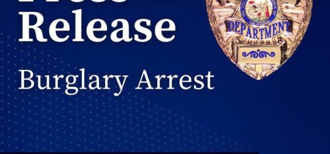 Burglar nabbed with stolen property