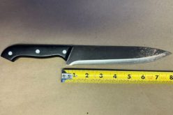 Woman Arrested in Alleged Butcher Knife Attack