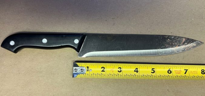 Woman Arrested in Alleged Butcher Knife Attack