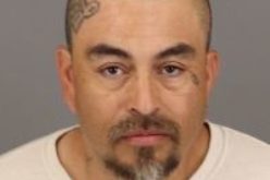 Deputies Chase Impaired Stolen-Vehicle Multiple-Burglary Suspect for Nearly an Hour