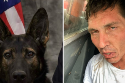K-9 Chase Locates Wanted Parolee