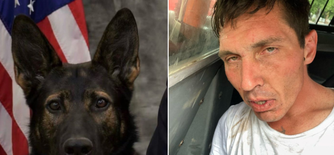 K-9 Chase Locates Wanted Parolee