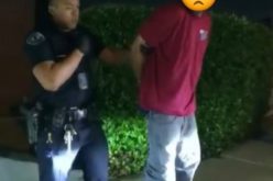 Colton man admits to multiple vehicle burglaries in Irvine