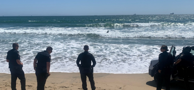 Police: Robbery suspects arrested; one allegedly tried escaping into the ocean
