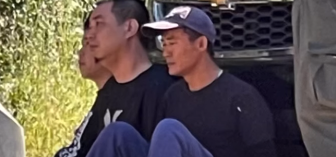 Mariposa County cracks down on marijuana grow sites