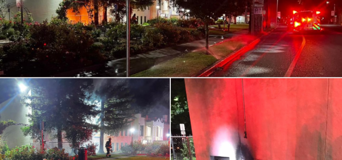 Quick Response From Police and Fire Department Leads to Arson Arrest