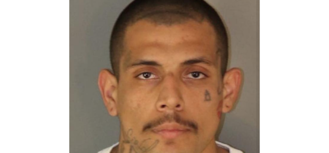 Suspect arrested in connection to recent homicide