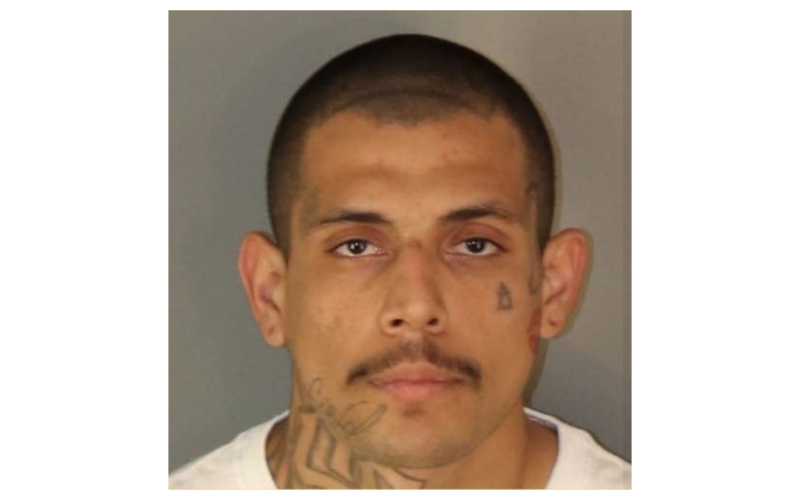 Suspect arrested in connection to recent homicide