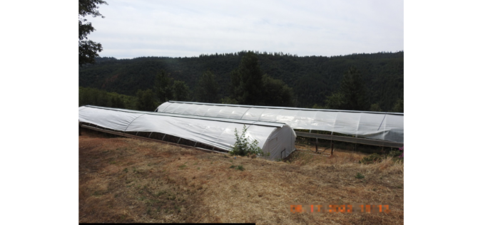 Marijuana Enforcement Team dismantles numerous illegal grow operations in Calaveras County