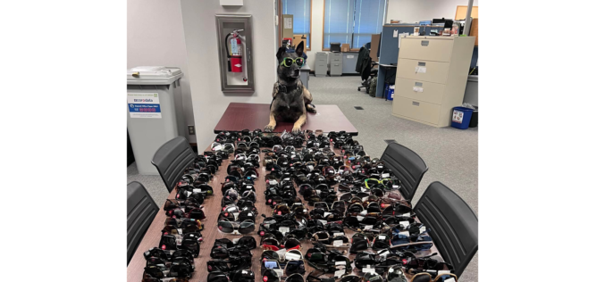 Three arrested after allegedly shoplifting Napa Sunglass Hut, leading police pursuit all the way to SF