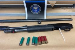 Police Arrest Man for Alleged Domestic Violence, Gun Charges