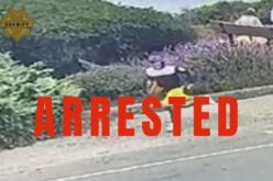 Man arrested for allegedly stealing elderly woman’s purse in Watsonville