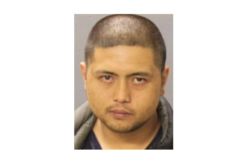 $3 million bail for alleged killer