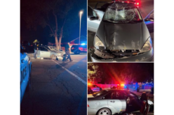 Vehicle pursuit leads to felony arrest in Woodland