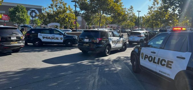 Twin brothers arrested in connection with stolen vehicle