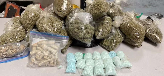 Major Drug Bust 17,000 Fentanyl Pills and More Seized in Arrest