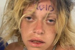 Reckless Driver Endangers Community in Stolen Vehicle