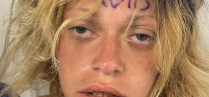 Reckless Driver Endangers Community in Stolen Vehicle