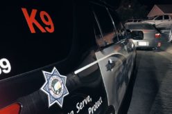 Armed Robbery Suspect Arrested in Elk Grove