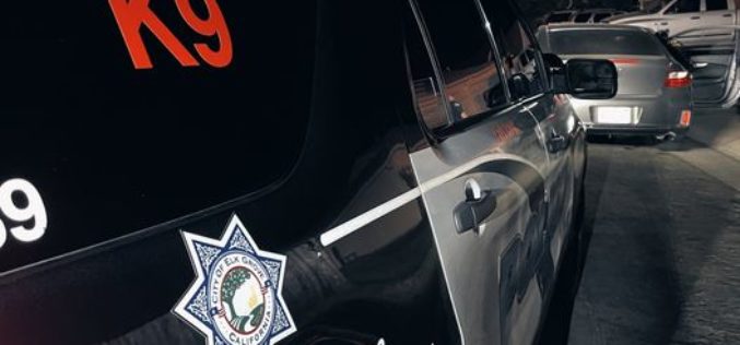 Armed Robbery Suspect Arrested in Elk Grove