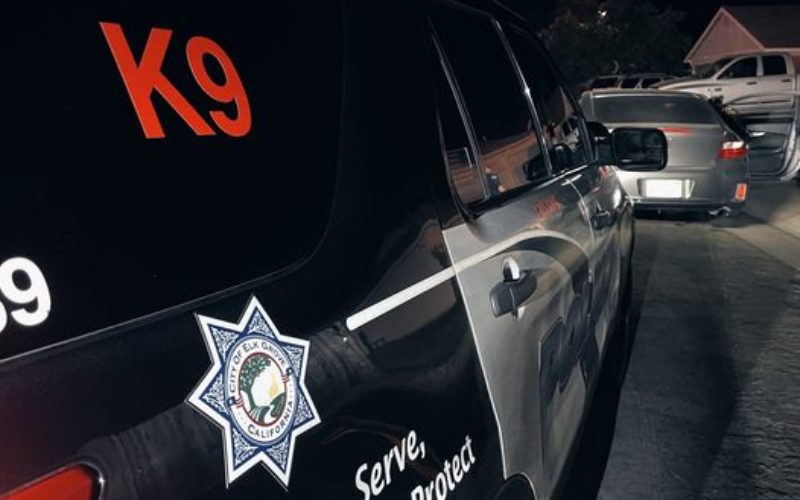 Armed Robbery Suspect Arrested in Elk Grove