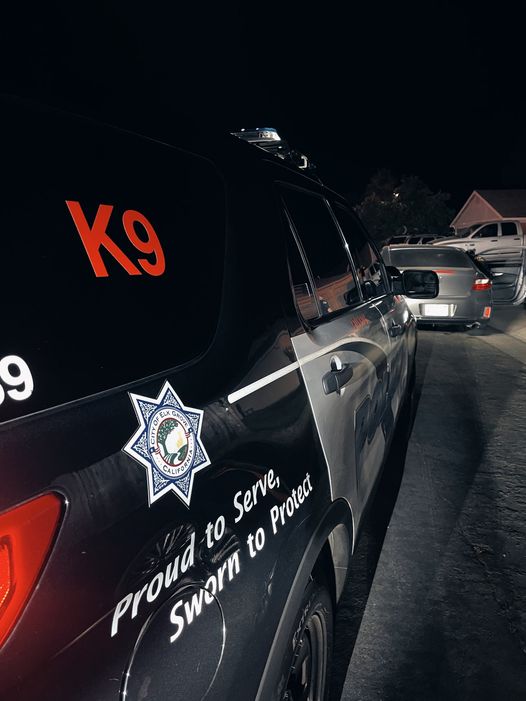 Armed Robbery Suspect Arrested in Elk Grove Crime Voice