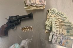K-9 Assists in Fentanyl and Weapons Arrest