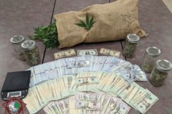 Police Arrest Local Man for Illegal Residential Marijuana Grow Operation