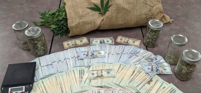 Police Arrest Local Man for Illegal Residential Marijuana Grow Operation