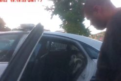 Modesto Man Arrested for Burglary