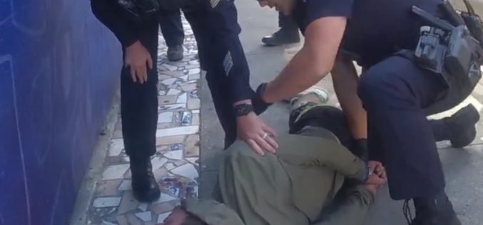 Purse Snatcher Arrested