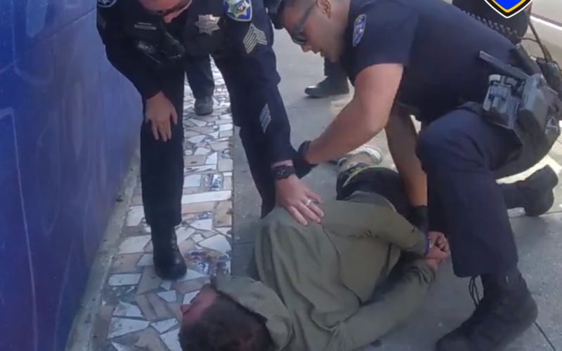 Purse Snatcher Arrested