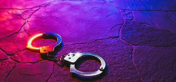 Wanted Pioneer Woman Arrested, Allegedly Fled from Calaveras County Deputies in Stolen Car