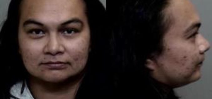 Mendocino County woman accused of embezzlement and grand theft