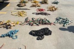 Bi-National Operation Yields Rifle, Ammunition, Makeshift Ladders