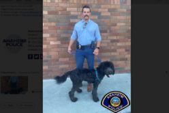 Suspect in Viral Video of Man Punching and Kicking Dog Arrested