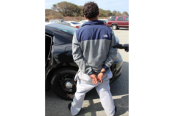 93-Year-Old Woman Reportedly Injured During Carjacking, Suspect Arrested