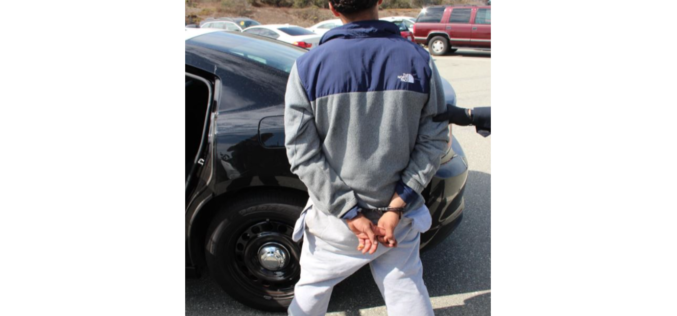 93-Year-Old Woman Reportedly Injured During Carjacking, Suspect Arrested