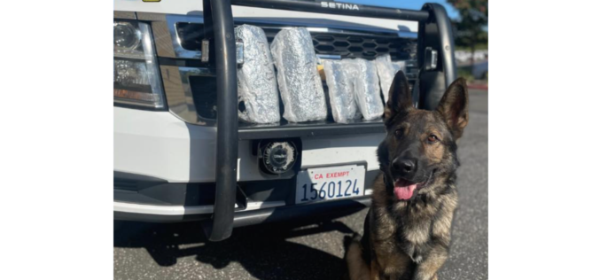 Tens of thousands of fentanyl pills reportedly seized during Placer County traffic stop